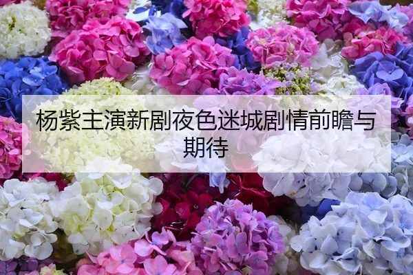 杨紫主演新剧夜色迷城剧情前瞻与期待